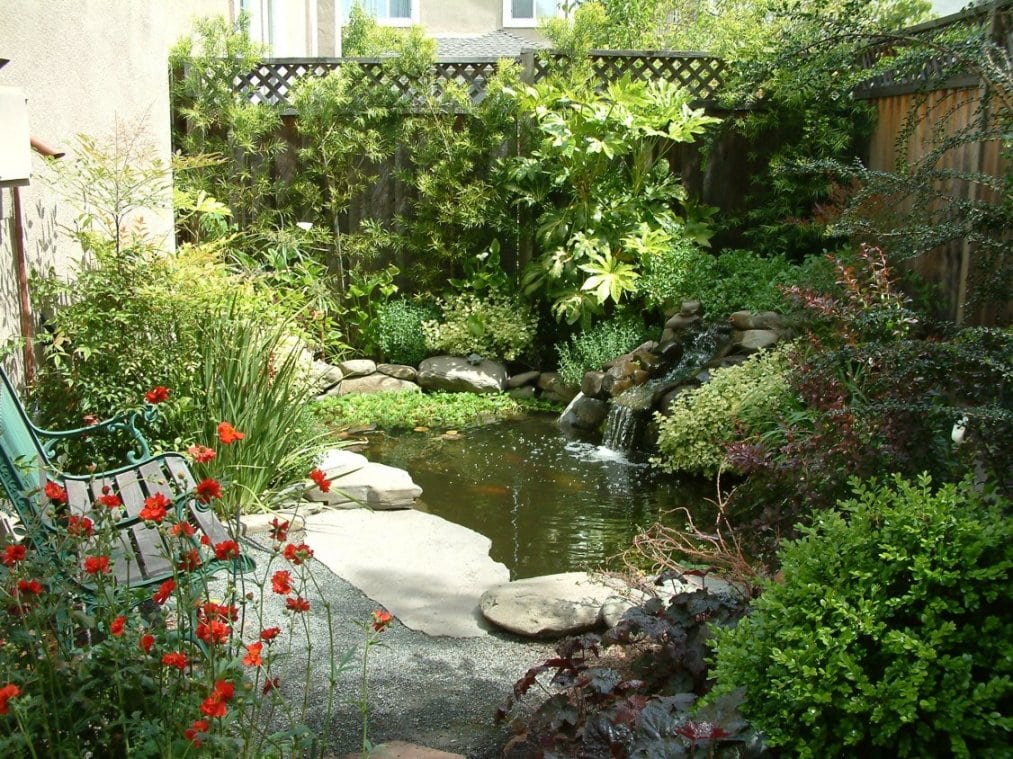 A serene backyard pond nestled among lush foliage, with a wooden bench situated nearby for peaceful contemplation. The pond is teeming with aquatic plants and fish, and its surface is calm and reflective, mirroring the beauty of the surrounding trees and plants.