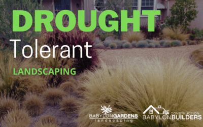 Embrace Drought-Tolerant Landscaping