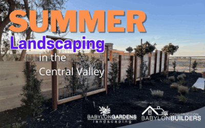 Summer Landscaping in California’s Central Valley
